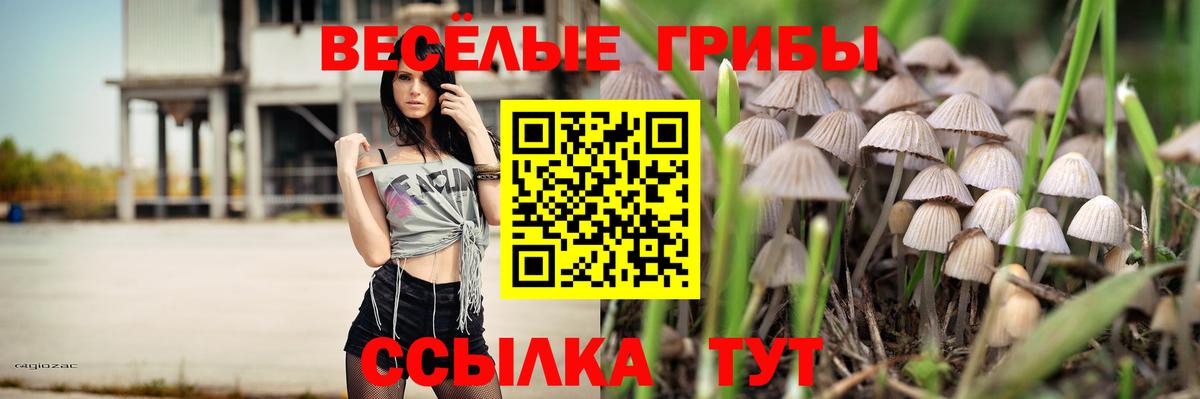 Хабаровск  Галлюциногенные грибы мухоморы  Вход с VPN 